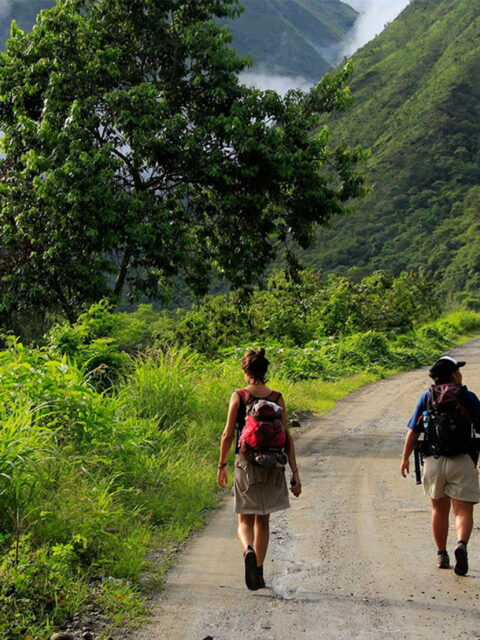 Inca Jungle 4 Days/3 Nights