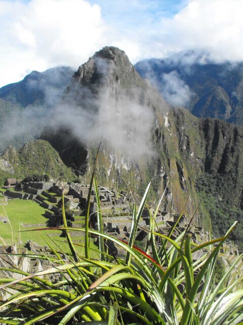 Machu Picchu Full Day